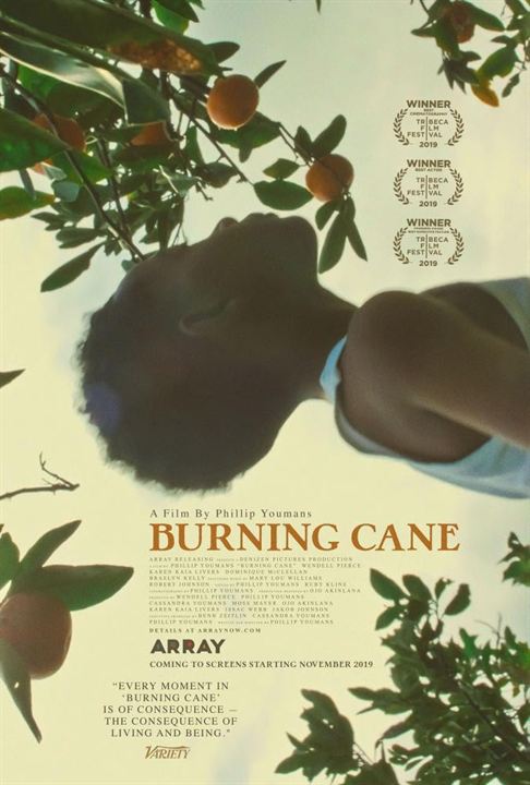 Burning Cane : Afiş