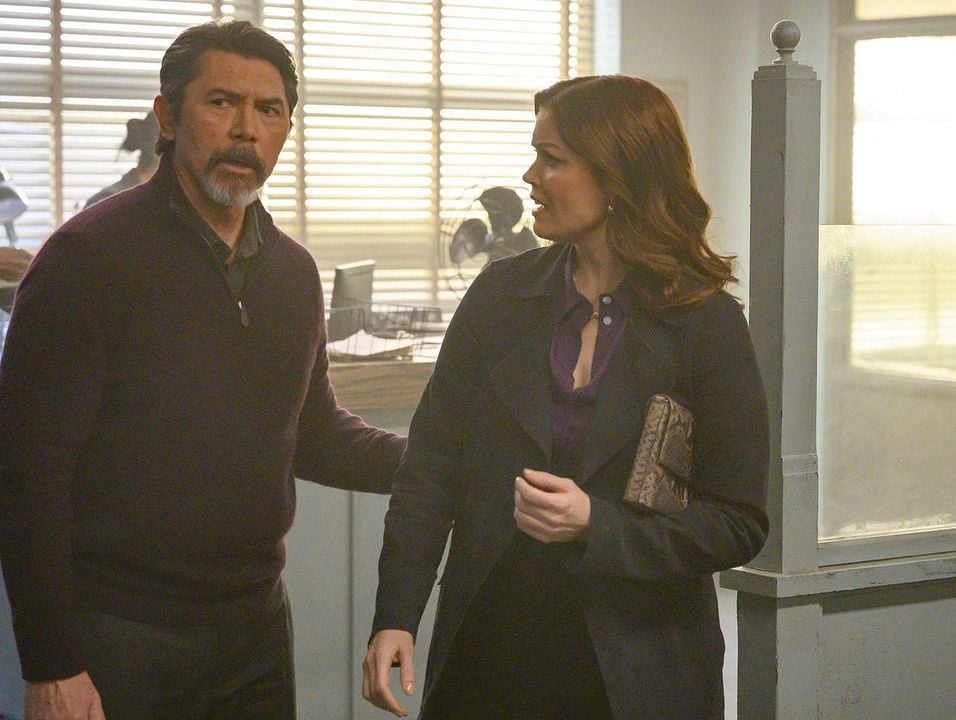 Fotoğraf Bellamy Young, Lou Diamond Phillips