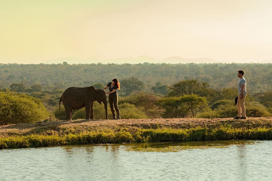 Holiday In The Wild : Fotoğraf Kristin Davis