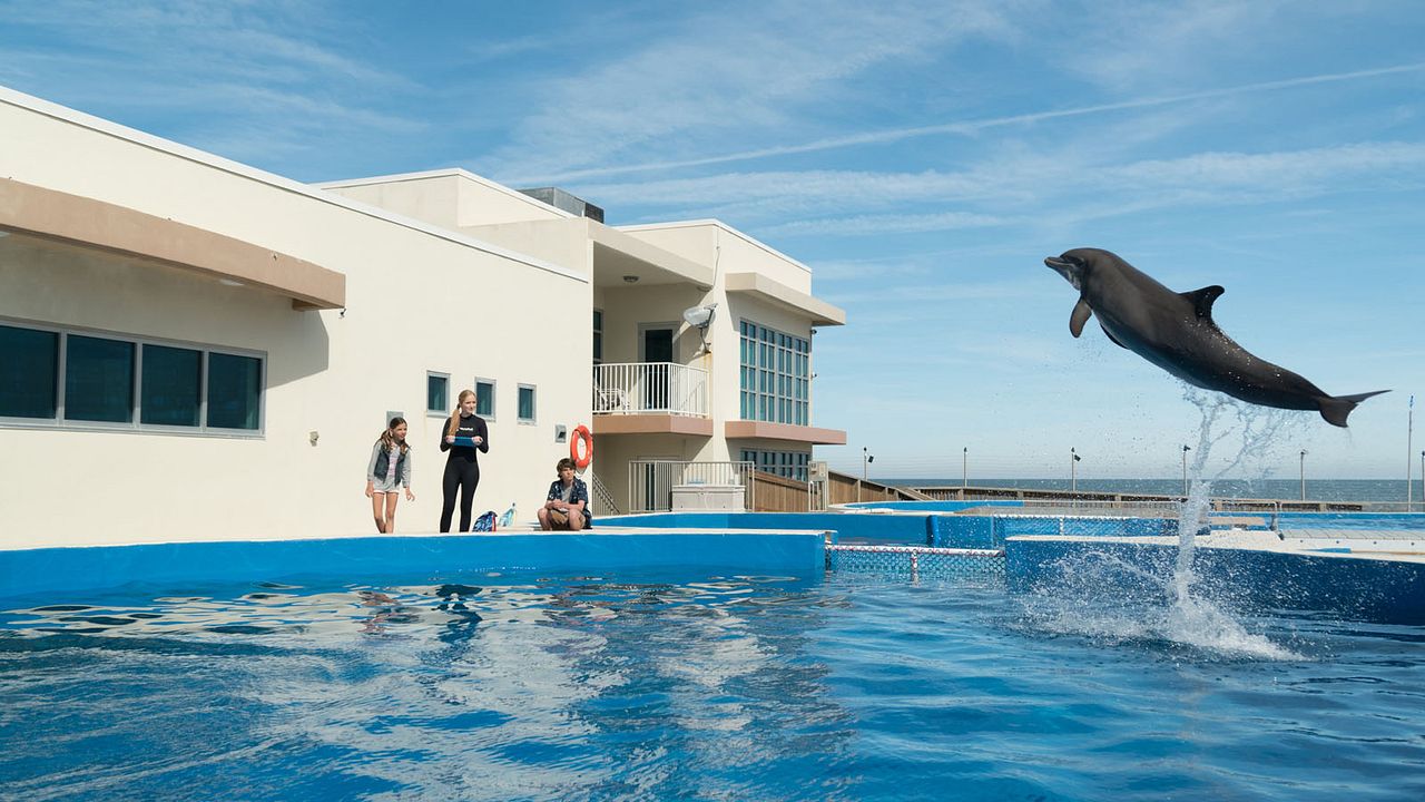Bernie The Dolphin : Fotoğraf