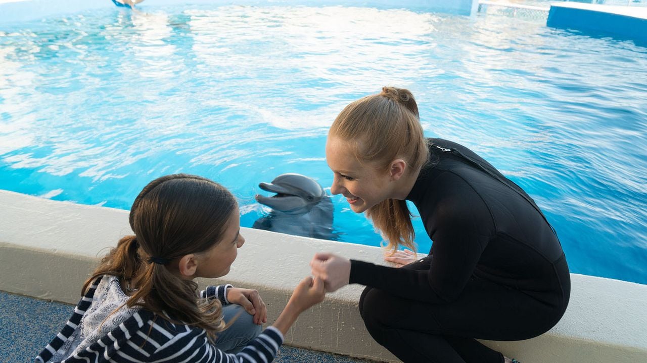 Bernie The Dolphin : Fotoğraf Lola Sultan
