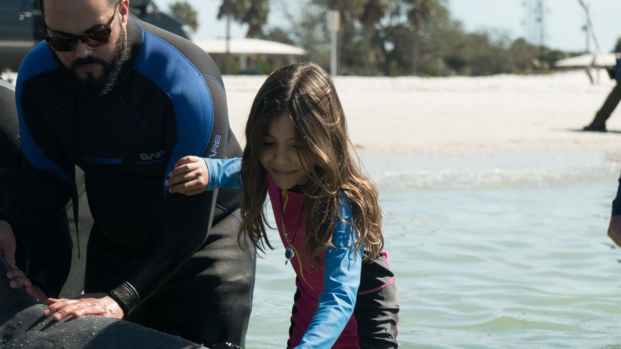 Bernie The Dolphin : Fotoğraf Lola Sultan
