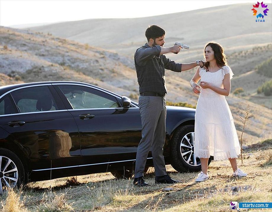 Güvercin : Fotoğraf