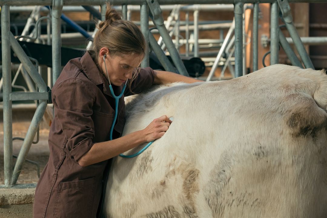 Fotoğraf Noémie Schmidt