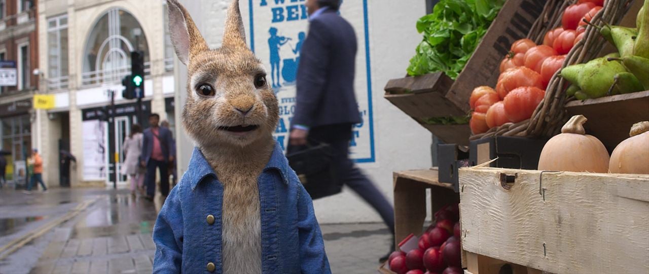 Peter Rabbit: Kaçak Tavşan : Fotoğraf