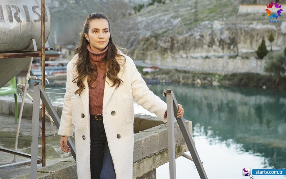 Güvercin : Fotoğraf