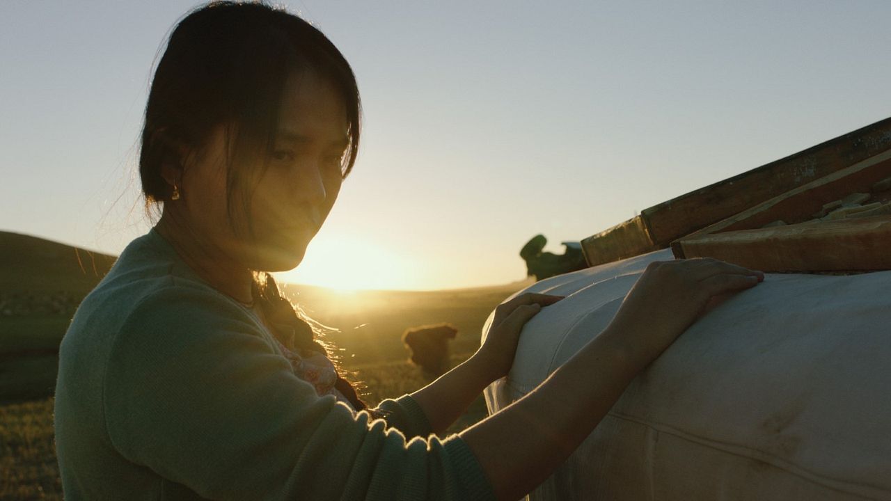 Veins Of The World : Fotoğraf Enerel Tumen