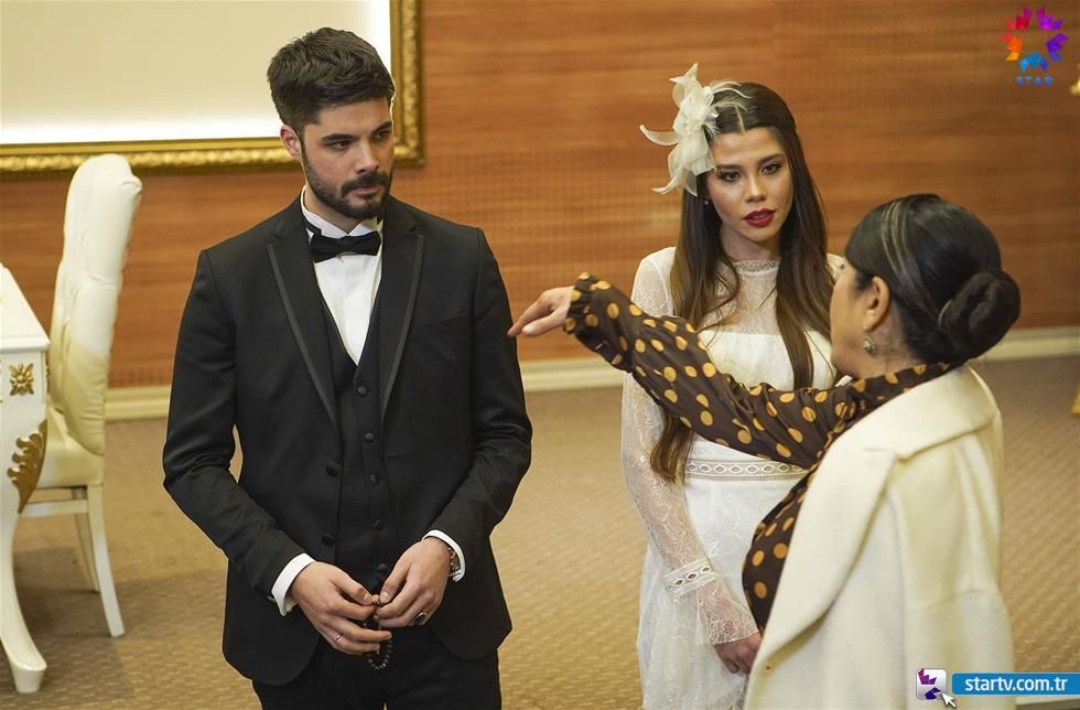 Güvercin : Fotoğraf