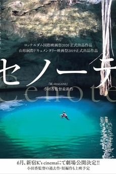 Ts'onot (Cenote) : Afiş