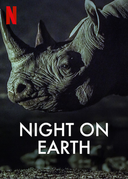 Dünya'da Gece : Afiş