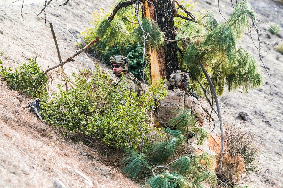 Fotoğraf Tyler Grey