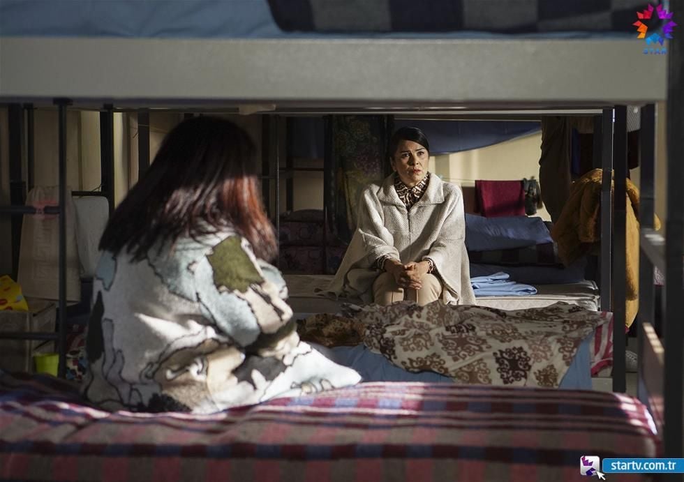 Güvercin : Fotoğraf