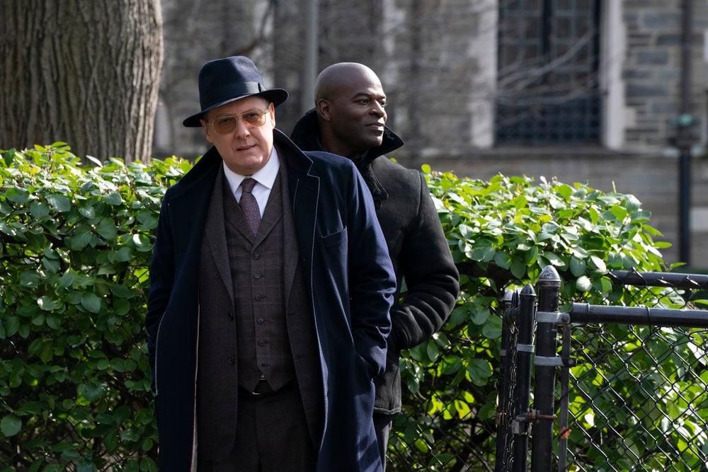 Fotoğraf James Spader, Hisham Tawfiq