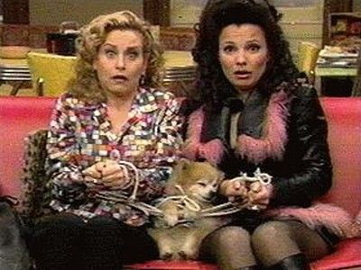 The Nanny : Afiş
