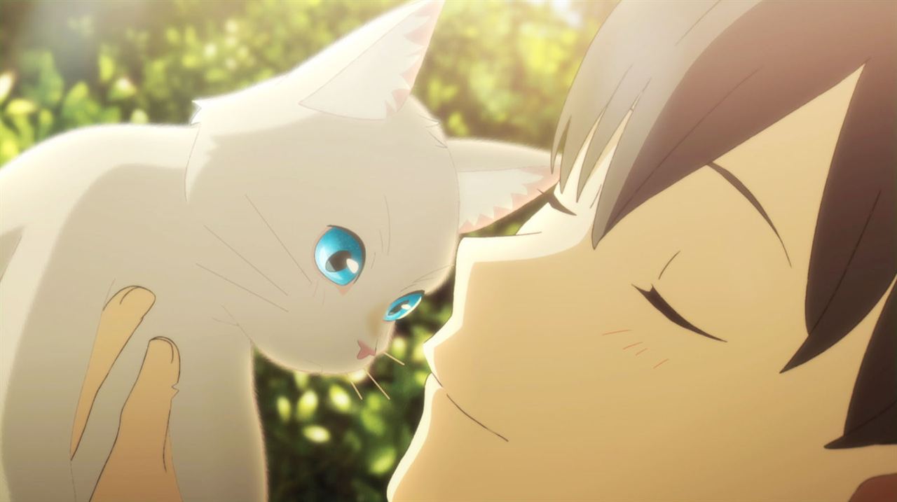 Nakitai watashi wa neko wo kaburu : Fotoğraf