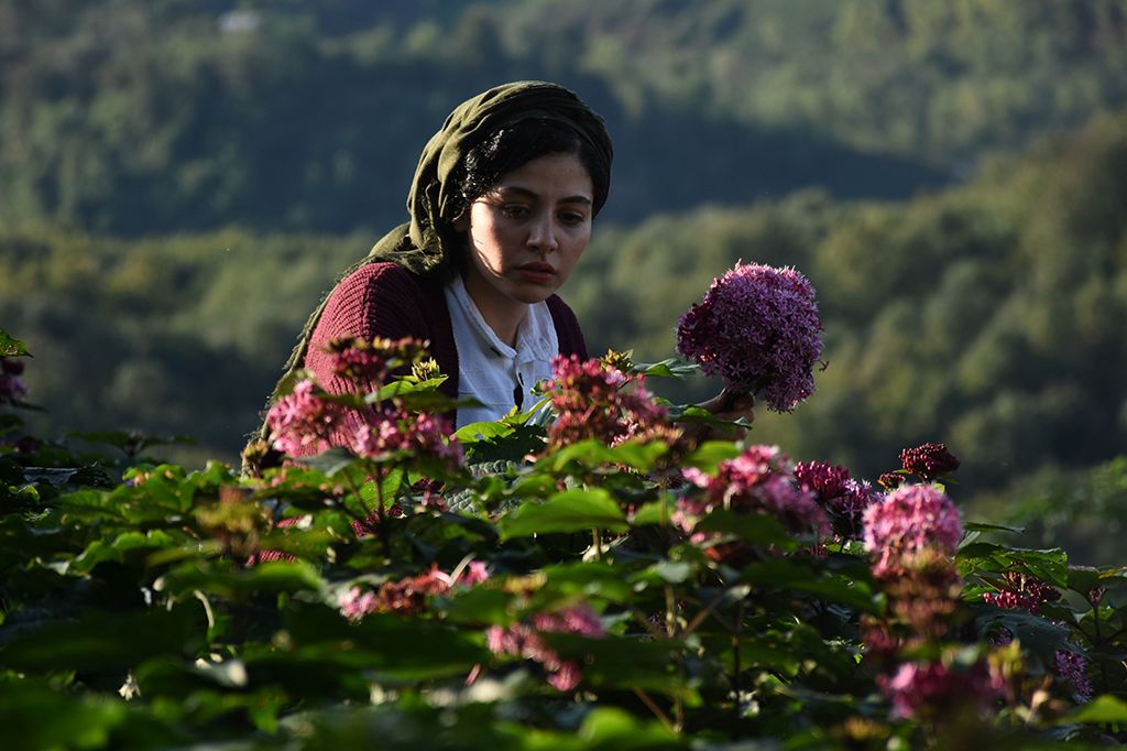 Sheytan vojud nadarad : Fotoğraf
