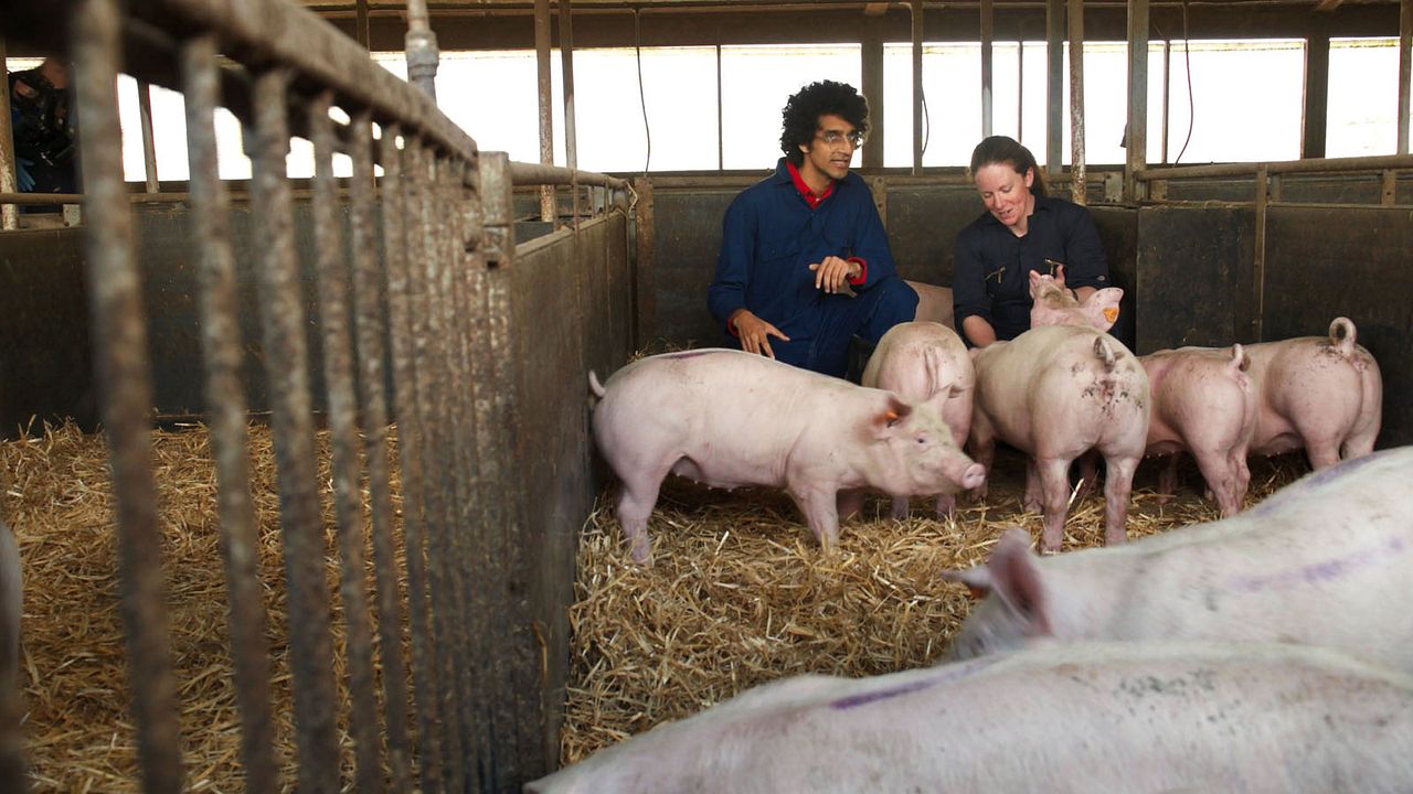 Connected : Fotoğraf