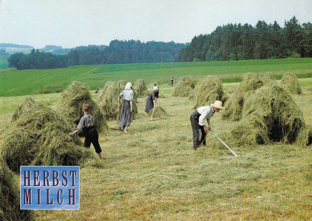 Herbstmilch : Fotoğraf