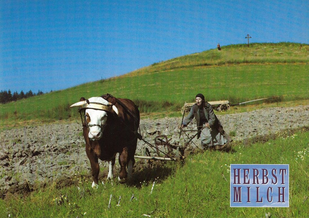 Herbstmilch : Fotoğraf