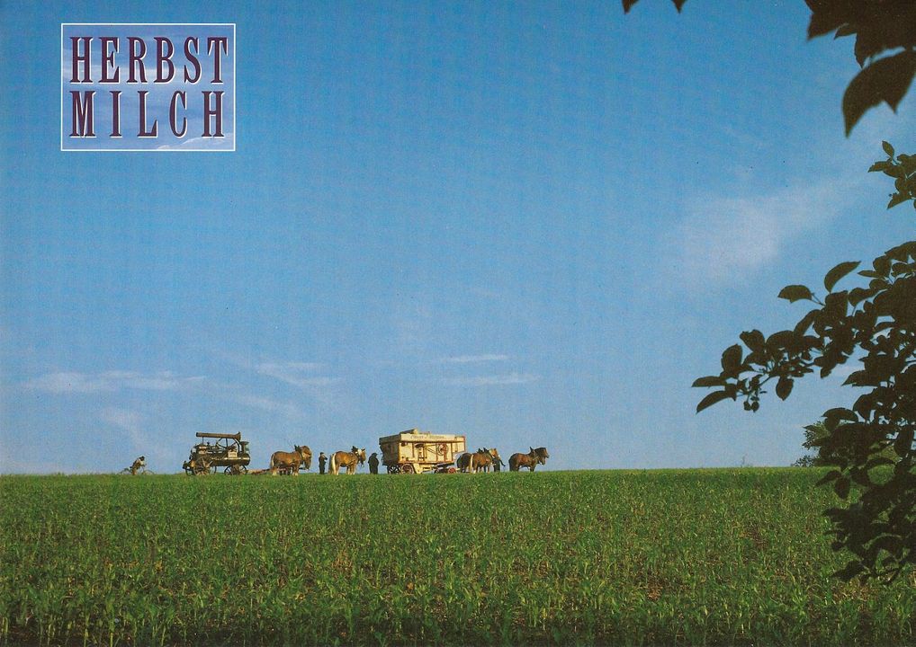 Herbstmilch : Fotoğraf