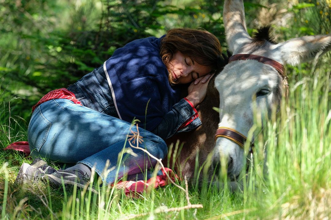 Antoinette dans les Cévennes : Fotoğraf Laure Calamy