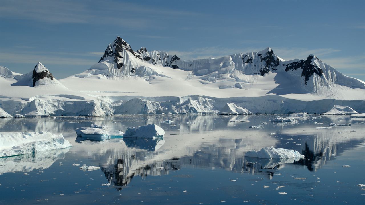 David Attenborough: Gezegenimizde Bir Yaşam : Fotoğraf