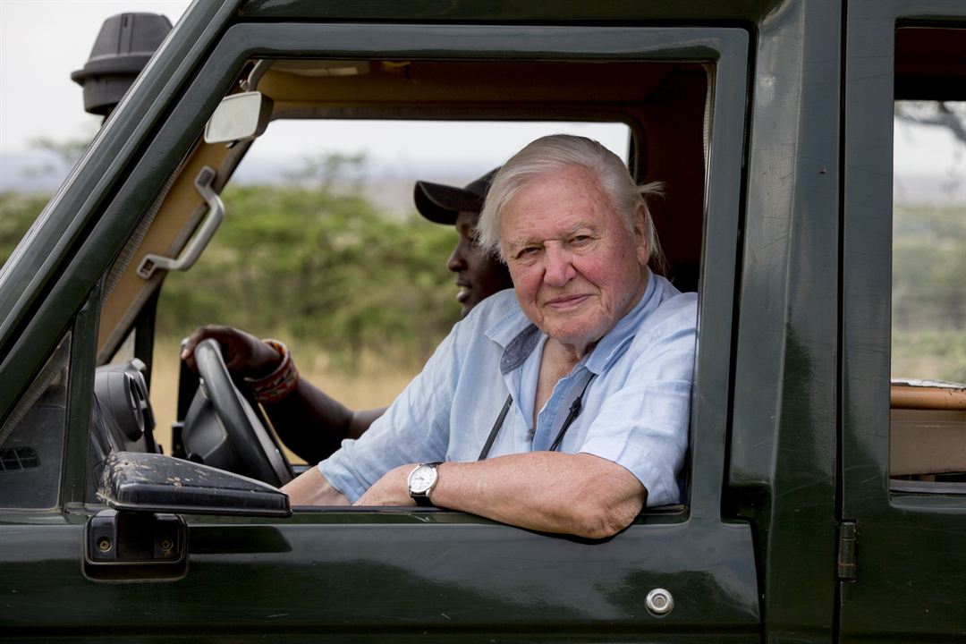 David Attenborough: Gezegenimizde Bir Yaşam : Fotoğraf