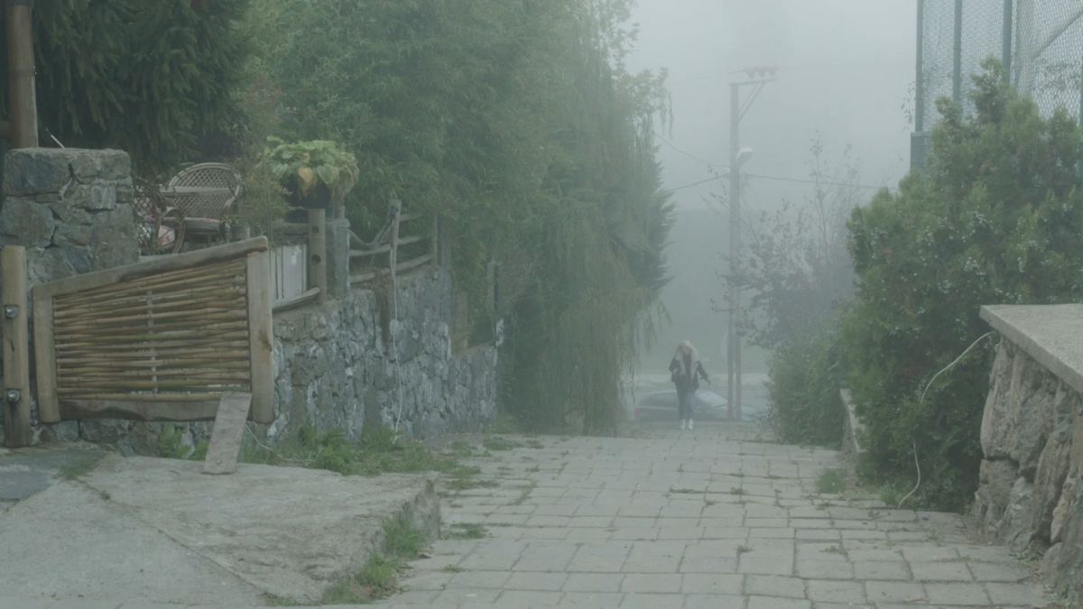 Cin Baskını : Fotoğraf