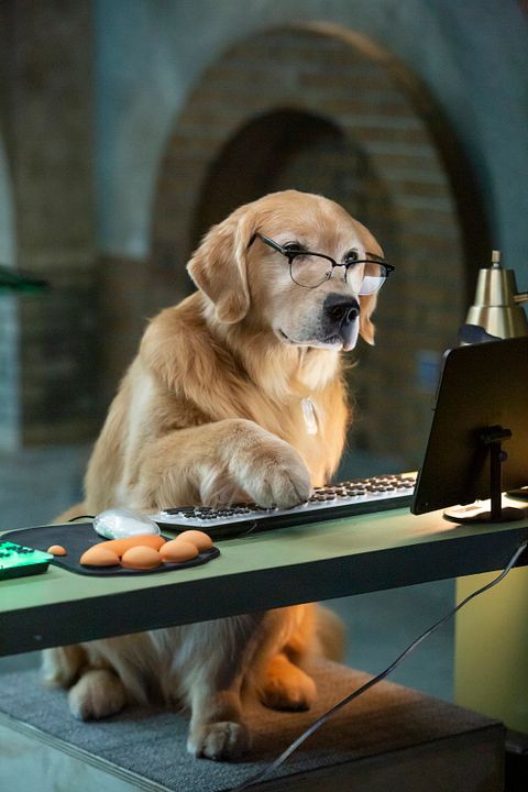 Cats & Dogs 3: Paws Unite : Fotoğraf