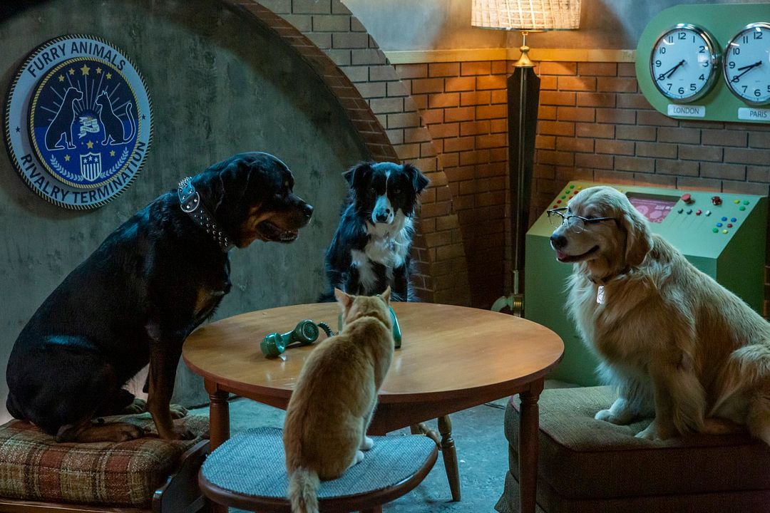 Cats & Dogs 3: Paws Unite : Fotoğraf