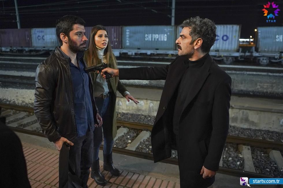 Güvercin : Fotoğraf