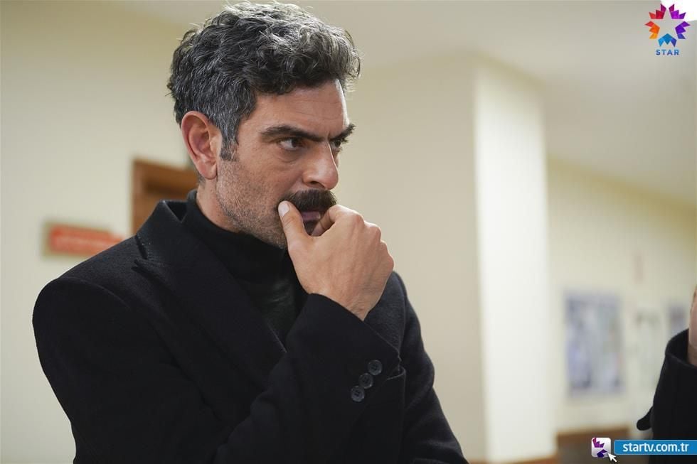 Güvercin : Fotoğraf