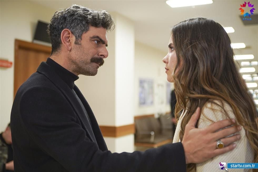 Güvercin : Fotoğraf