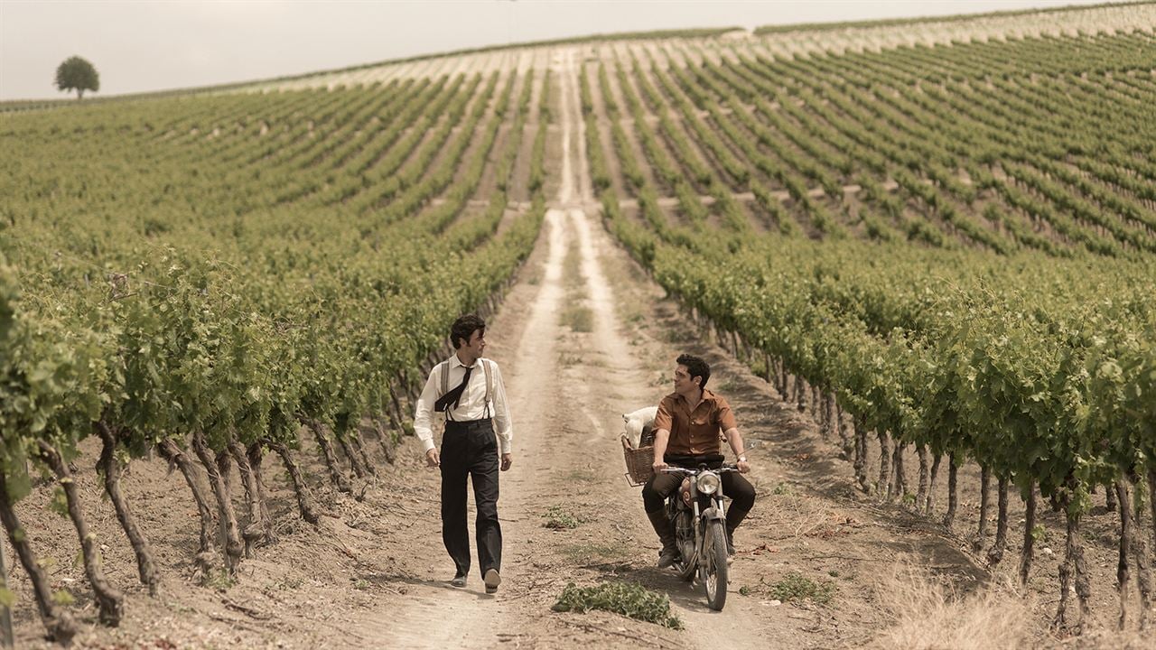 El verano que vivimos : Fotoğraf Javier Rey, Pablo Molinero