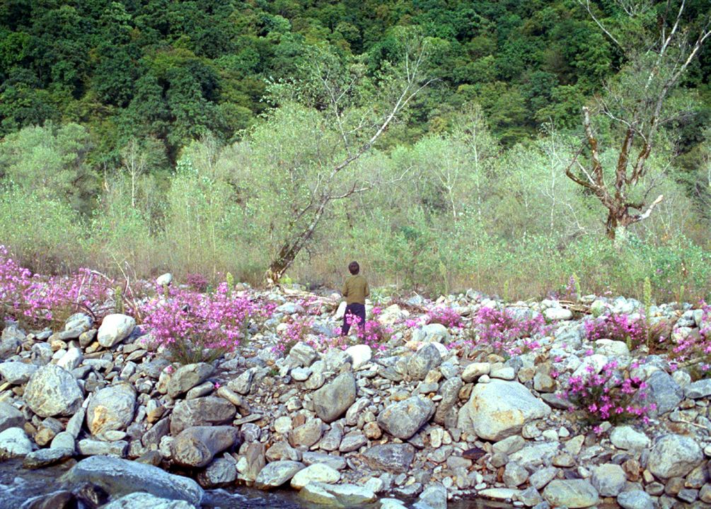 Dasatskisi : Fotoğraf