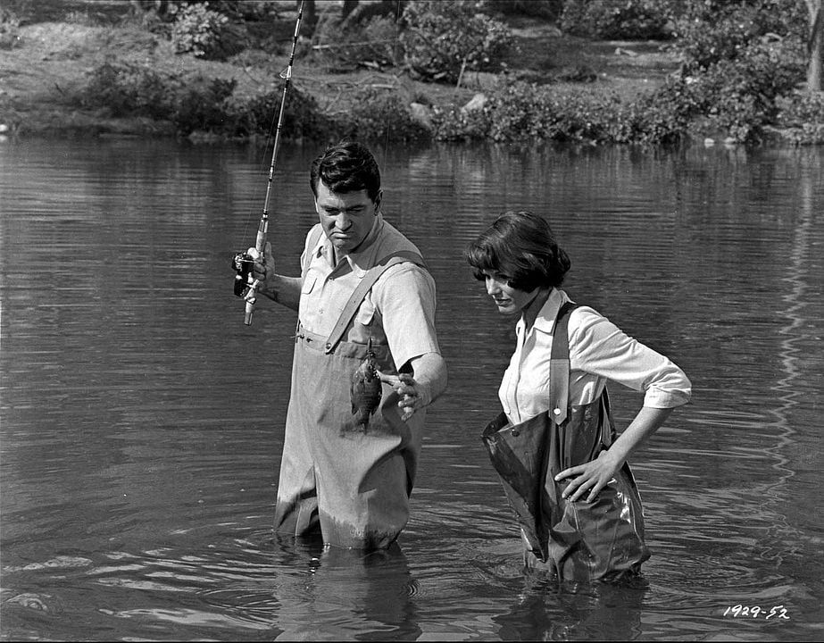Fotoğraf Rock Hudson, Paula Prentiss