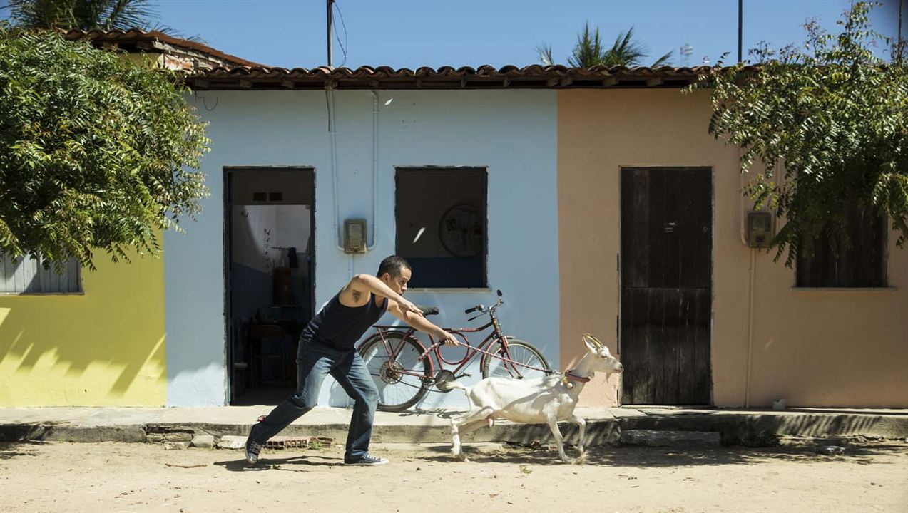 Cabras da Peste : Fotoğraf Edmilson Filho