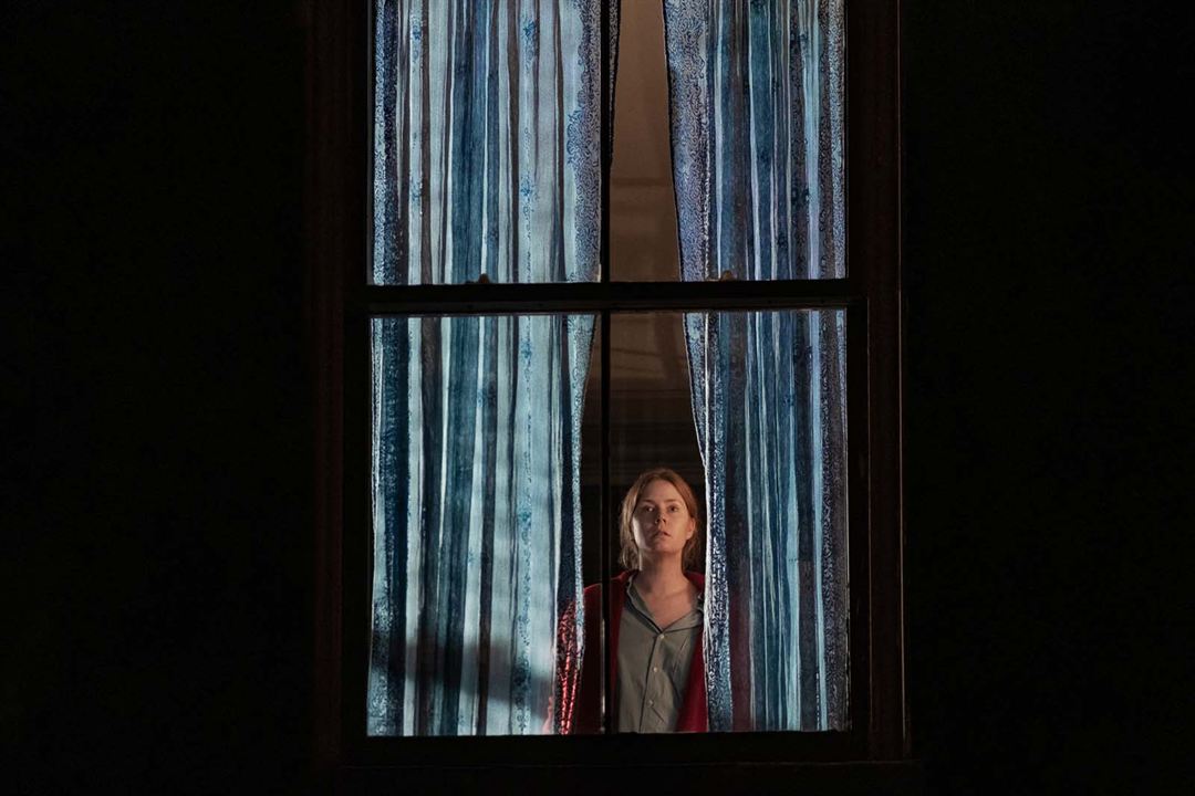 Penceredeki Kadın : Fotoğraf Amy Adams