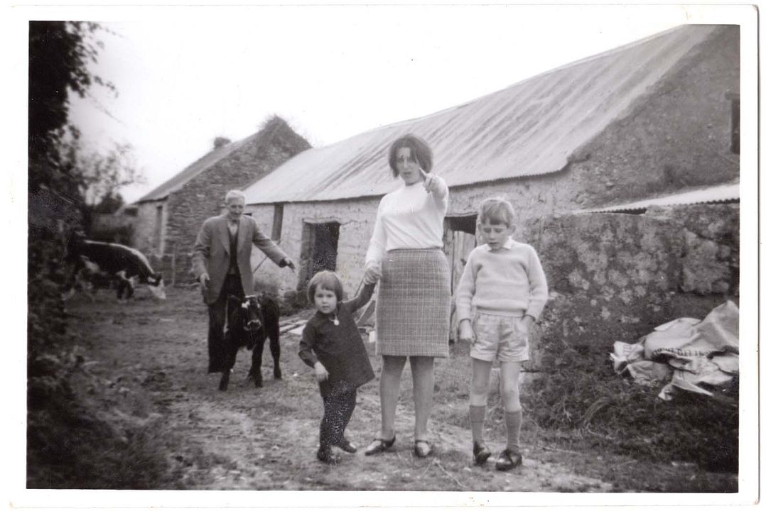 Fotoğraf Shane MacGowan