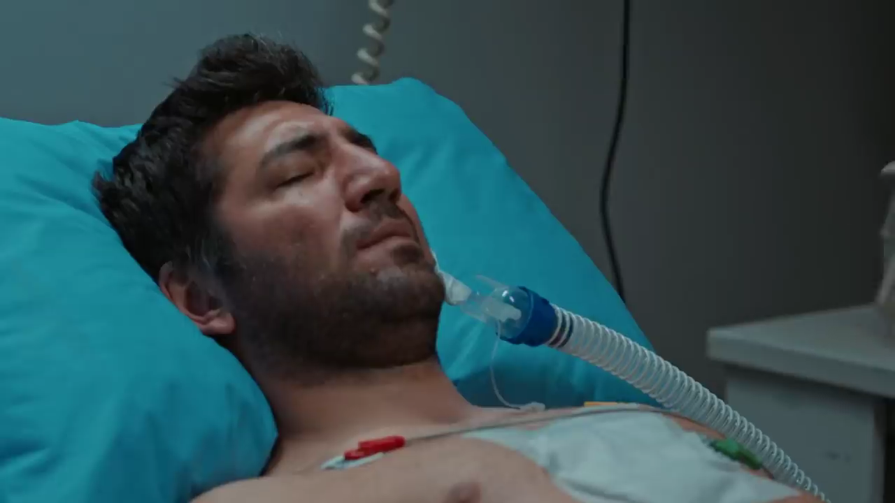 Alev Alev : Fotoğraf