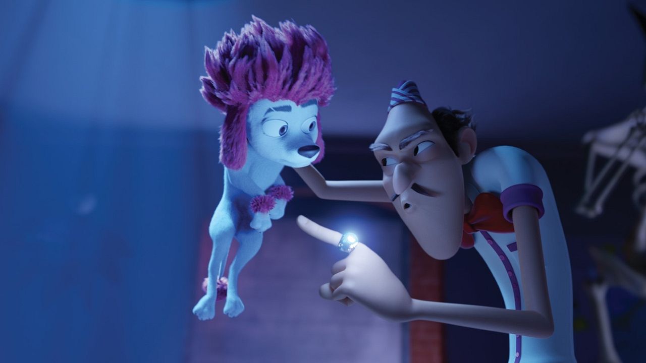 %100 Kurt : Fotoğraf