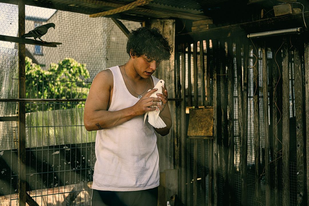 Fotoğraf Malik Blumenthal