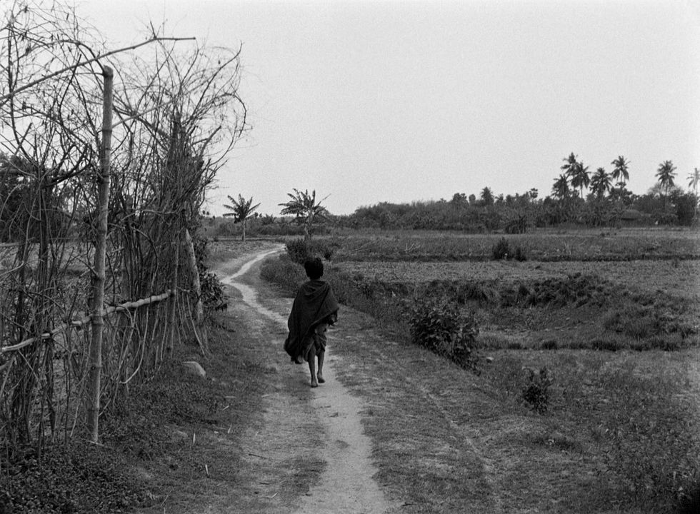 Pather Panchali : Fotoğraf