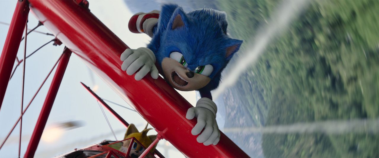 Kirpi Sonic 2 : Fotoğraf