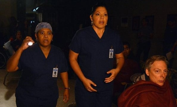 Fotoğraf Chandra Wilson, Sara Ramirez