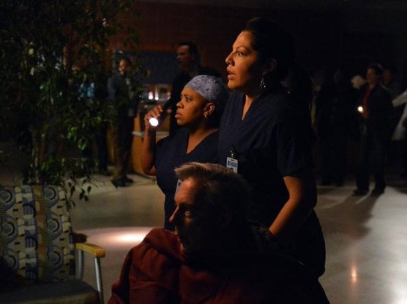 Fotoğraf Chandra Wilson, Sara Ramirez