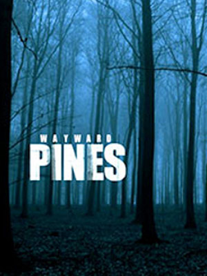 Wayward Pines : Afiş