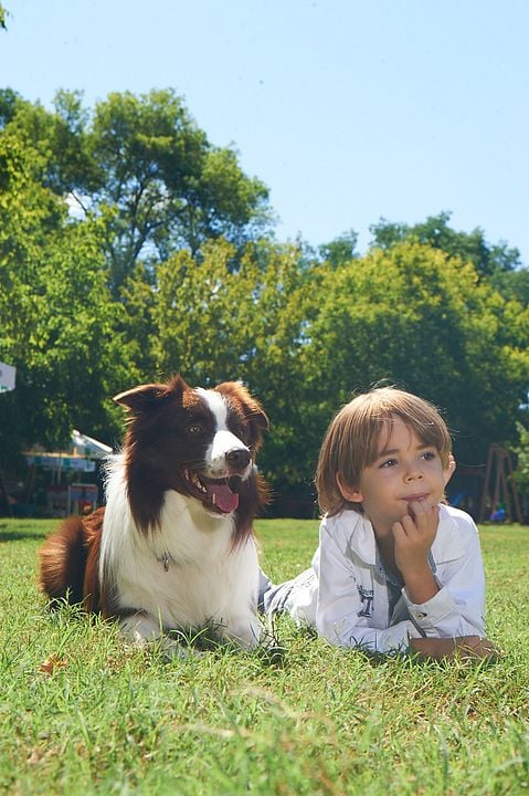 Arkadaşım Max : Fotoğraf