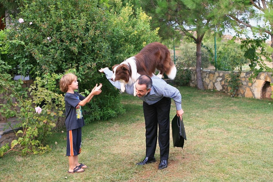 Arkadaşım Max : Fotoğraf