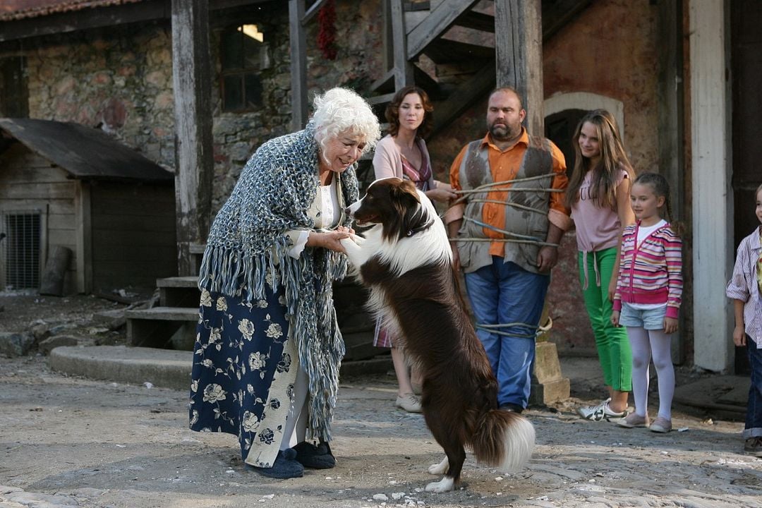 Arkadaşım Max : Fotoğraf